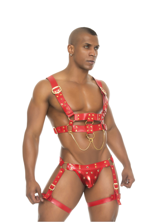 Gold Chains Male Harness Set
